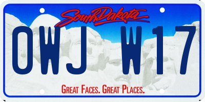 SD license plate 0WJW17