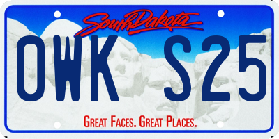 SD license plate 0WKS25