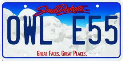 SD license plate 0WLE55