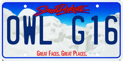 SD license plate 0WLG16