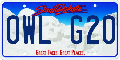 SD license plate 0WLG20