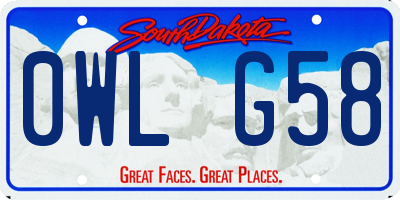 SD license plate 0WLG58