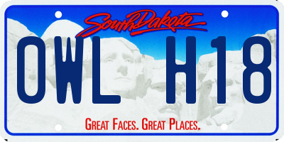 SD license plate 0WLH18