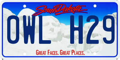 SD license plate 0WLH29