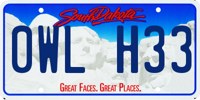 SD license plate 0WLH33