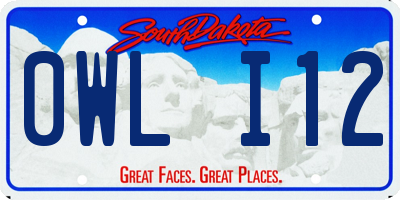 SD license plate 0WLI12