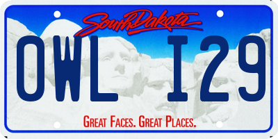 SD license plate 0WLI29