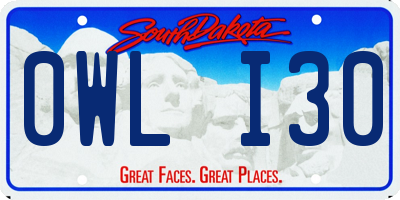 SD license plate 0WLI30