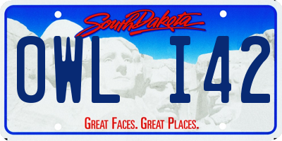 SD license plate 0WLI42
