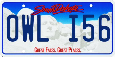 SD license plate 0WLI56