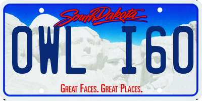 SD license plate 0WLI60