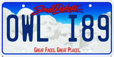 SD license plate 0WLI89
