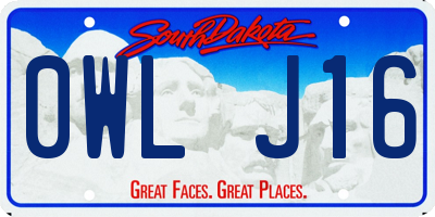 SD license plate 0WLJ16