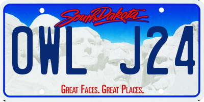 SD license plate 0WLJ24