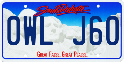 SD license plate 0WLJ60