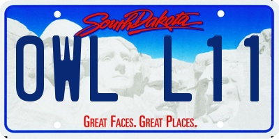 SD license plate 0WLL11