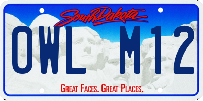 SD license plate 0WLM12