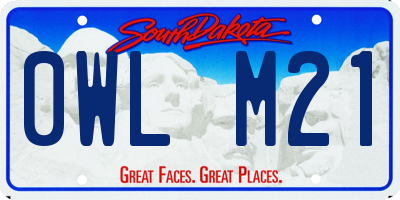 SD license plate 0WLM21