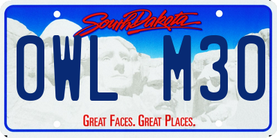 SD license plate 0WLM30