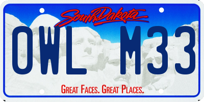 SD license plate 0WLM33