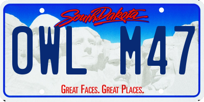 SD license plate 0WLM47
