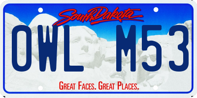 SD license plate 0WLM53