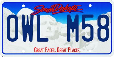 SD license plate 0WLM58