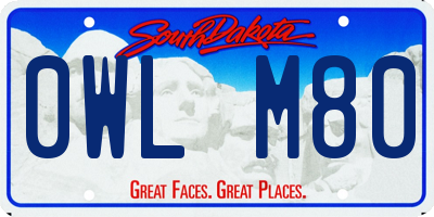 SD license plate 0WLM80