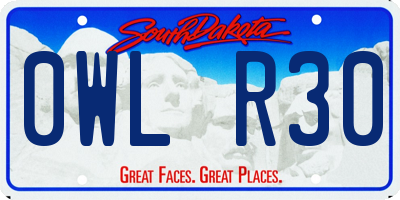 SD license plate 0WLR30