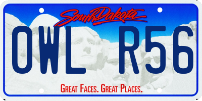 SD license plate 0WLR56