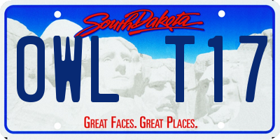SD license plate 0WLT17