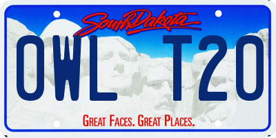 SD license plate 0WLT20