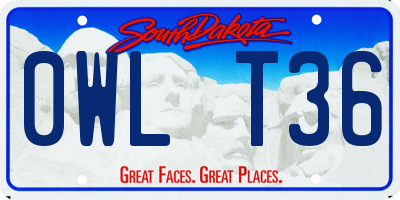SD license plate 0WLT36