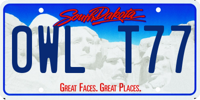 SD license plate 0WLT77