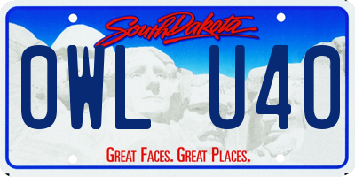 SD license plate 0WLU40
