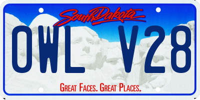 SD license plate 0WLV28