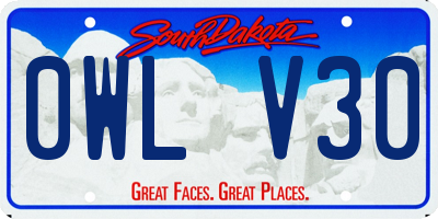 SD license plate 0WLV30
