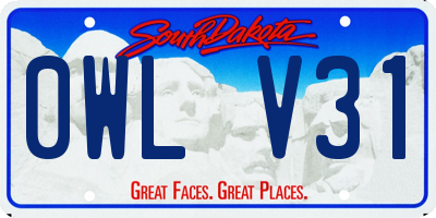 SD license plate 0WLV31