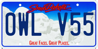 SD license plate 0WLV55