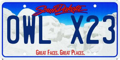 SD license plate 0WLX23