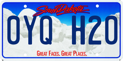 SD license plate 0YQH20