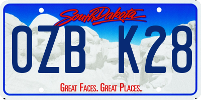 SD license plate 0ZBK28