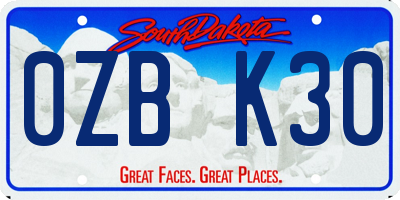 SD license plate 0ZBK30