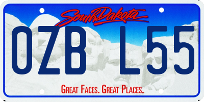 SD license plate 0ZBL55