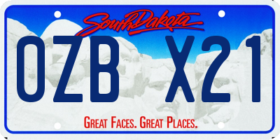 SD license plate 0ZBX21