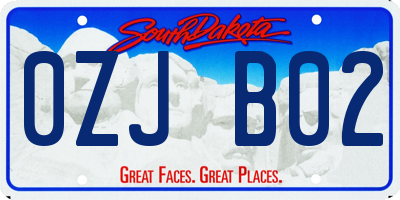 SD license plate 0ZJB02