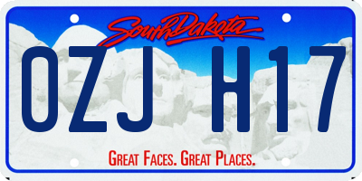 SD license plate 0ZJH17