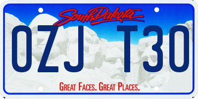 SD license plate 0ZJT30