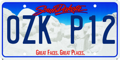 SD license plate 0ZKP12