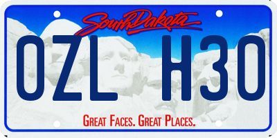 SD license plate 0ZLH30
